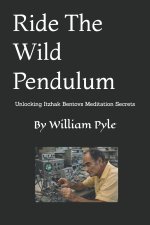 Ride The Wild Pendulum