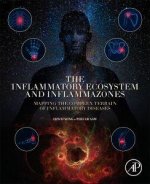 The Inflammatory Ecosystem and Inflammazones