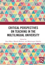 Critical Perspectives on Teaching in the Multilingual University