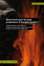 Quel avenir pour les pays producteurs d'énergies fossiles ?