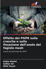 Effetto dei PGPR sulla crescita e sulla fissazione dell'azoto del fagiolo mash