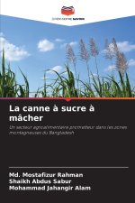 La canne à sucre à mâcher