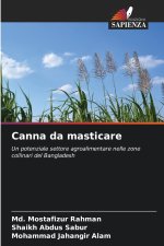 Canna da masticare