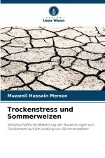 Trockenstress und Sommerweizen