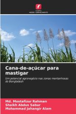 Cana-de-açúcar para mastigar