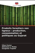 Produits forestiers non ligneux : production, consommation et politiques au Gujarat