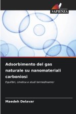 Adsorbimento del gas naturale su nanomateriali carboniosi