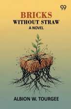 Bricks Without Straw