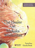 The Healer Cat / Mphaka Wochiritsa