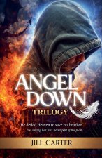 Angel Down Trilogy