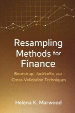 Resampling Methods for Finance