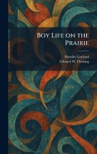 Boy Life on the Prairie