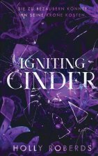 Igniting Cinder