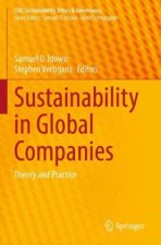 Sustainability in Global Companies