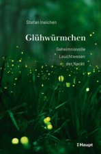 Glühwürmchen