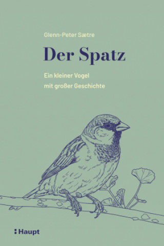 Der Spatz