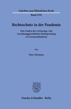 Rechtsschutz in der Pandemie