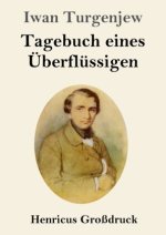 Tagebuch eines Überflüssigen (Großdruck)