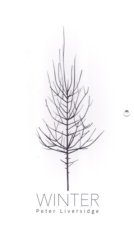 Winter - Művészeti leporelló babáknak