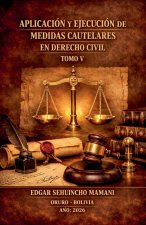 Aplicación y Ejecución de Medidas Cautelares en Derecho Civil V