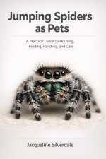 Jumping Spiders as Pets