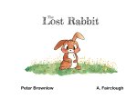 The Lost Rabbit