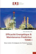 Efficacité Energétique & Maintenance Prédictive TOME I