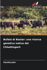 Bufalo di Bastar