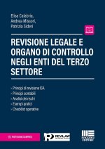 Revisione legale e organo di controllo negli Enti del terzo settore. Principi di revisione ISA. Principi contabili. Analisi dei rischi. Esempi pratici