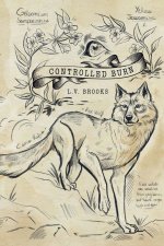Controlled Burn
