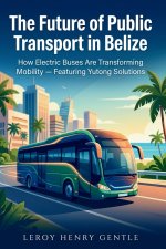The Future of Public Transport in Belize