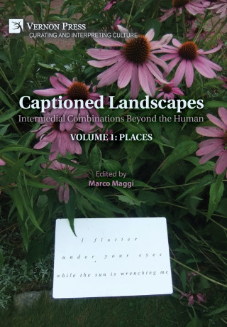 Captioned Landscapes