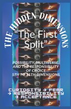 The Hidden Dimensions 