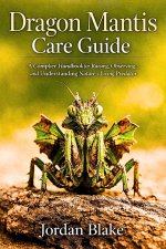 Dragon Mantis Care Guide