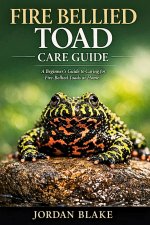 Fire Bellied Toad Care Guide