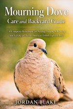 Mourning Dove Care and Backyard Guide