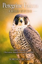 Peregrine Falcon Field Guide