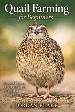Quail Farming for Beginners