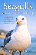 Seagulls Behavior and Coexistence Guide