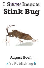 Stink Bug