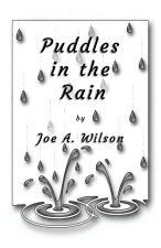 Puddles in the Rain