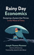 Rainy Day Economics