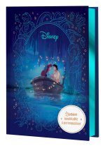 DISNEY PRINCESSES - Le carnet Grimoire de La Petite Sirène