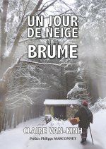 Un jour de neige et de brume