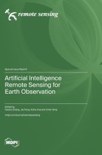 Artificial Intelligence Remote Sensing for Earth Observation