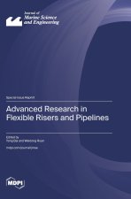 Advanced Research in Flexible Risers and Pipelines