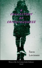 A Collection of Consciousness