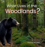 What Lives in the Woodlands?