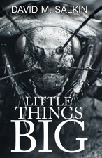 Little Things Big