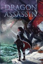 Dragon Assassin